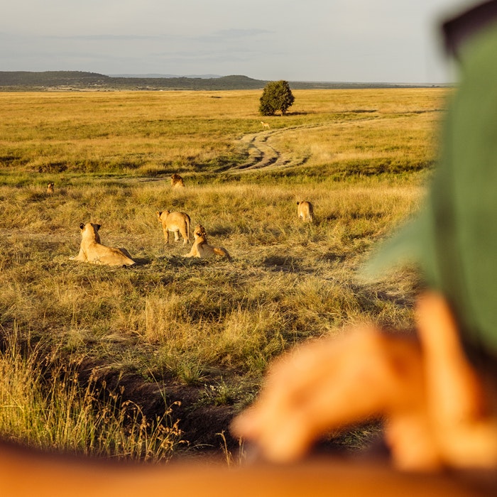 Kenya: Maasai Mara Safari