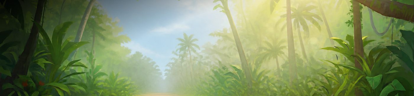 Vavada bonus